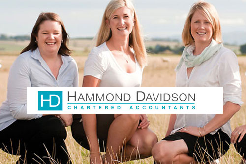 Hammond Davidson Chartered Accountant